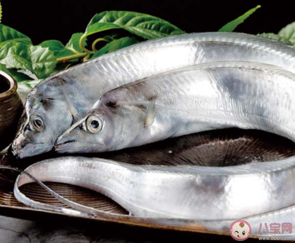 什么帶魚不要買 怎么買到新鮮的帶魚