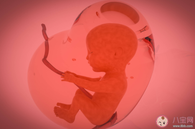 孕期拔牙胎兒會(huì)早產(chǎn)嗎 孕婦牙齒疼痛怎么辦