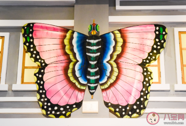 中國宮廷風箏的發源地傳承地生產地的村子是哪個 螞蟻莊園11月17日答案解析