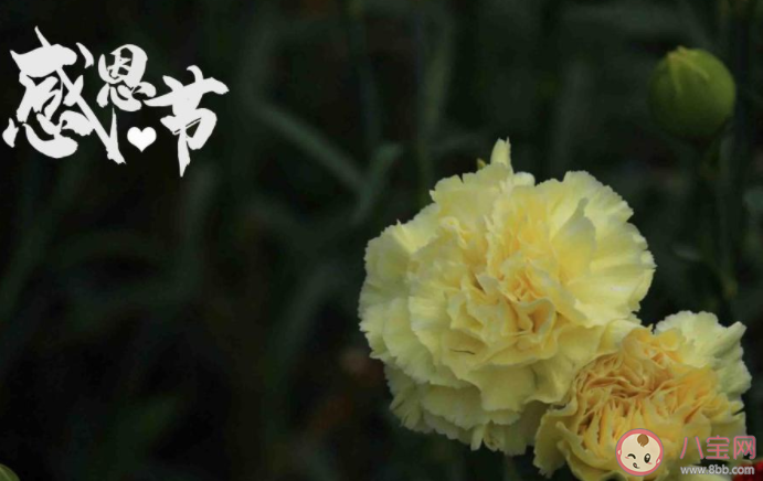 感恩節感謝爸爸媽媽的朋友圈說說 感恩節感謝父母的文案句子