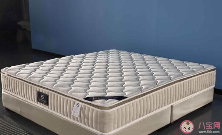 床墊是越硬越好嗎螞蟻莊園 11月20日答案介紹 床墊是越硬越好嗎螞蟻莊園 11月20日答案介紹