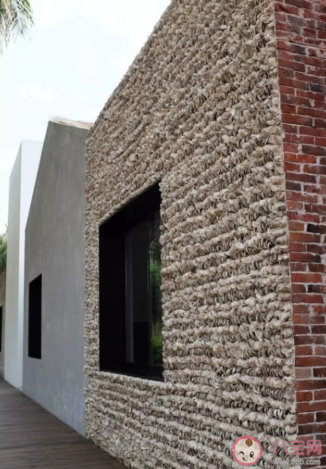 哪個村子是用生蠔殼建房屋的 螞蟻莊園11月19日問題答案