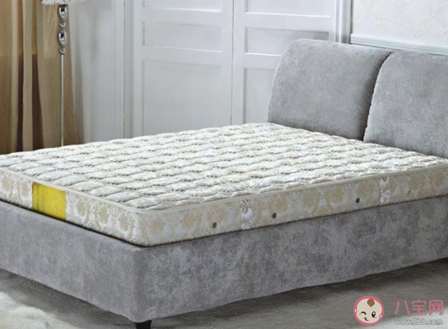 螞蟻莊園11月20日問題答案：床墊是越硬越好嗎