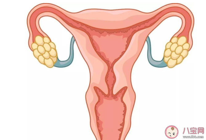 盆腔積液是病嗎 查出盆腔積液該怎么辦 盆腔積液是病嗎 查出盆腔積液該怎么辦