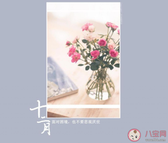 告別十一月迎接十二月的正能量句子說說 十一月結束十二月開始的勵志句子大全