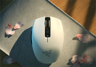 鼠標(biāo)越貴越好嗎 應(yīng)該怎么選擇合適的鼠標(biāo)