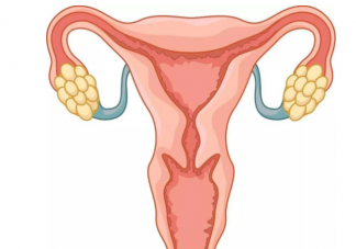 盆腔積液是病嗎 查出盆腔積液該怎么辦