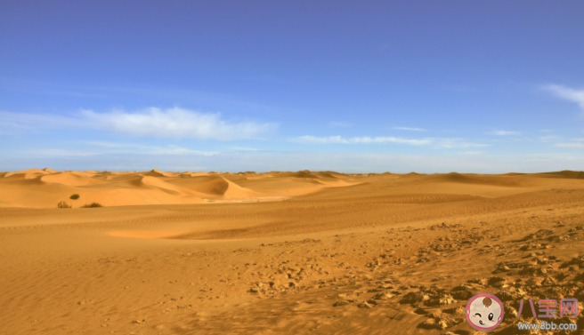 螞蟻莊園阿拉善沙漠是幾大沙漠的統稱 11月23日答案解析