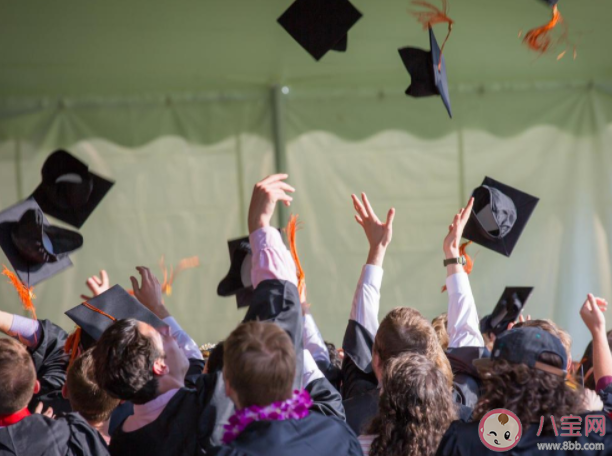 法學(xué)生畢業(yè)后有哪些就業(yè)方向 為什么法學(xué)生的就業(yè)率不高