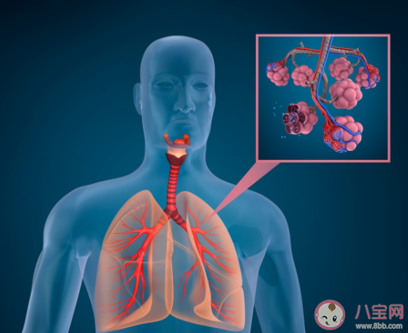 肺磨玻璃結(jié)節(jié)會(huì)演變成肺癌嗎 什么是肺部磨玻璃結(jié)節(jié)