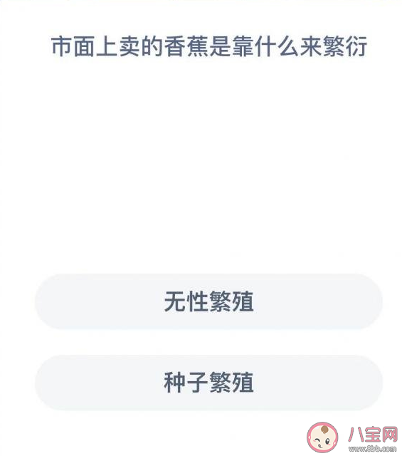 市面上的香蕉靠什么繁衍 螞蟻莊園11月23日問題答案