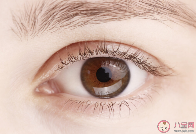 螞蟻莊園看到喜歡的人時瞳孔通常會放大還是縮小 11月24日正確答案