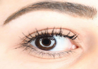 螞蟻莊園看到喜歡的人時(shí)瞳孔通常會(huì)放大還是縮小 11月24日正確答案