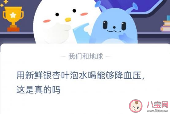 用新鮮銀杏葉泡水喝能夠降血壓是真的嗎 螞蟻莊園11月24日答案最新 用新鮮銀杏葉泡水喝能夠降血壓是真的嗎 螞蟻莊園11月24日答案最新