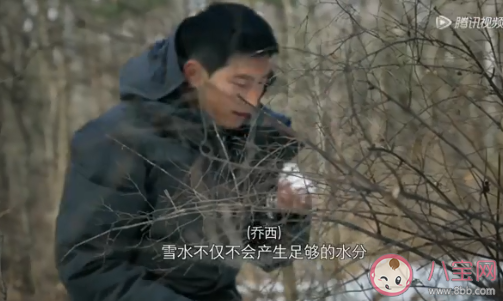 為什么不能在野外直接喝雪水 野外露營需要準備的東西有哪些 為什么不能在野外直接喝雪水 野外露營需要準備的東西有哪些