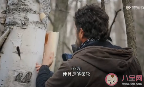 為什么不能在野外直接喝雪水 野外露營需要準備的東西有哪些 為什么不能在野外直接喝雪水 野外露營需要準備的東西有哪些