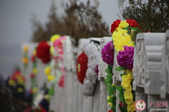 我們應(yīng)該從小接受死亡教育嗎 孩子問關(guān)于死亡的問題該怎么解釋