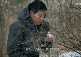 為什么不能在野外直接喝雪水 野外露營需要準備的東西有哪些