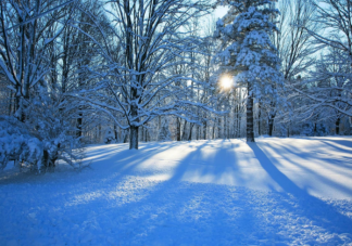 下雪天為什么這么浪漫 下雪天溫柔文案美好句子