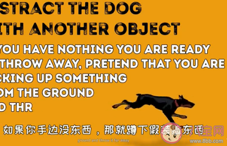 遇到會咬人的狗如何保證自身安全 如何避免被狗咬 遇到會咬人的狗如何保證自身安全 如何避免被狗咬