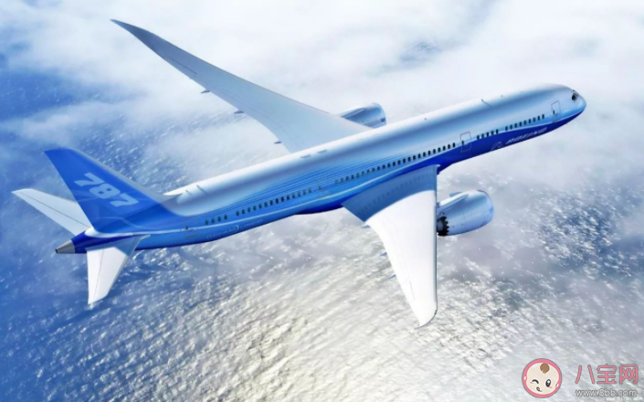 無人陪伴老人兒童坐飛機可獲得哪些幫助 老人獨自坐飛機該怎么辦 無人陪伴老人兒童坐飛機可獲得哪些幫助 老人獨自坐飛機該怎么辦