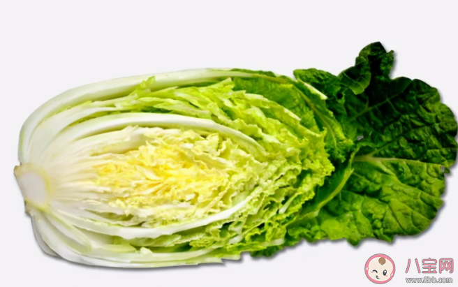 白菜長黑點還可以吃嗎 大白菜青綠葉和黃白葉哪種更好吃