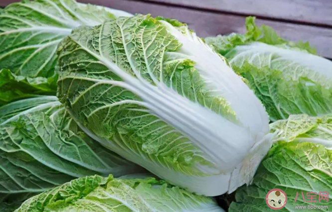 白菜長黑點還可以吃嗎 大白菜青綠葉和黃白葉哪種更好吃
