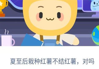 夏至后栽種紅薯不結紅薯對嗎 螞蟻新村小課堂11月25日答案