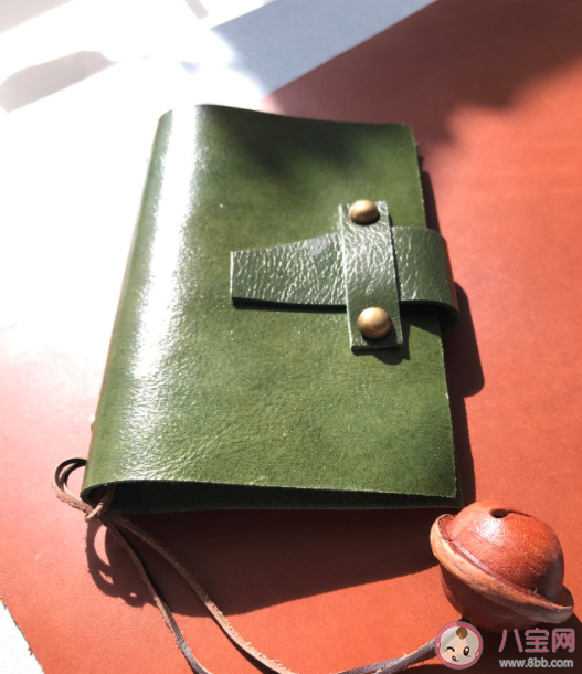 油蠟皮是指什么皮 油蠟皮怎么保養清潔 油蠟皮是指什么皮 油蠟皮怎么保養清潔