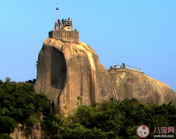 鼓浪嶼上的最高峰有不登不算到廈門之稱的景點是什么 螞蟻莊園11月28日答案介紹