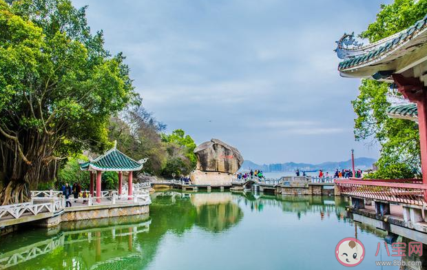 鼓浪嶼上的最高峰有不登不算到廈門之稱的景點是什么 螞蟻莊園11月28日答案介紹