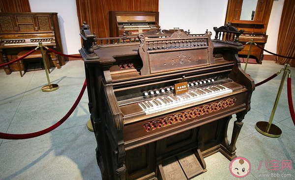 鼓浪嶼上的最高峰有不登不算到廈門之稱的景點是什么 螞蟻莊園11月28日答案介紹