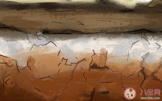 土壤大致可分為三層分別是底圖土層心十層和什么 螞蟻新村小課堂11月27日答案