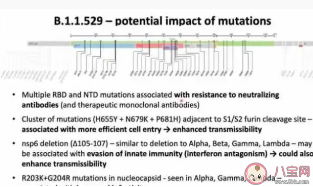 新毒株Omicron或致康復者再感染 新毒株Omicron有什么特點