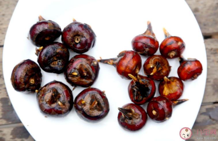 哪種食用荸薺的方式更安全健康 螞蟻莊園11月30日正確答案 哪種食用荸薺的方式更安全健康 螞蟻莊園11月30日正確答案