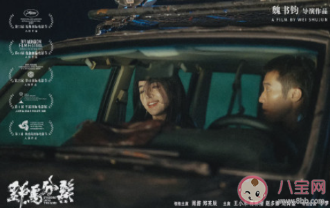 電影《野馬分鬃》好看嗎 《野馬分鬃》講的是什么