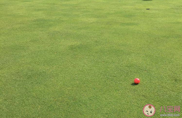 高爾夫球場上有多少個球洞 高爾夫球的玩法是怎樣的