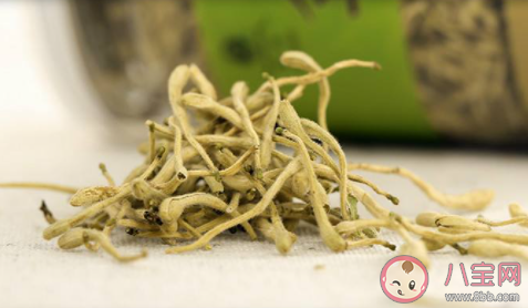 自古忍冬花又被稱為金銀花是因?yàn)?螞蟻莊園12月1日答案最新