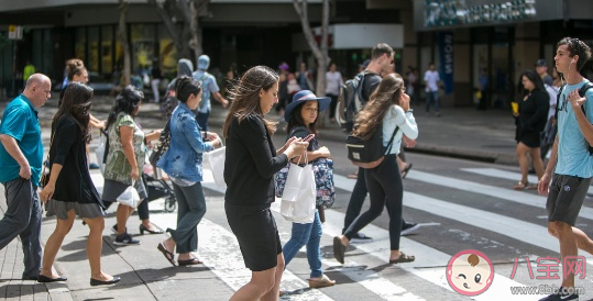 交通事故中行人的哪種行為更容易發生傷亡事件 螞蟻莊園12月2日答案最新