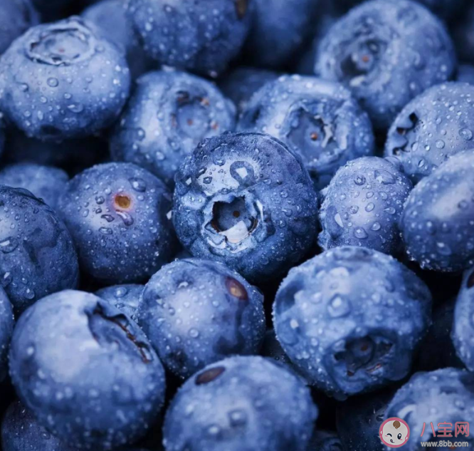 藍(lán)莓上面一層白色的東西是什么 藍(lán)莓和藍(lán)莓干功效一樣嗎