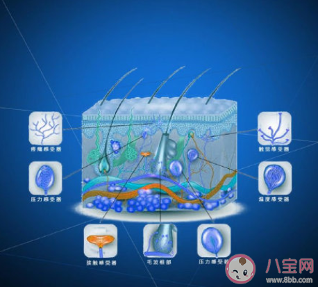 為什么37攝氏度的氣溫比水溫熱 人的體溫是怎樣的