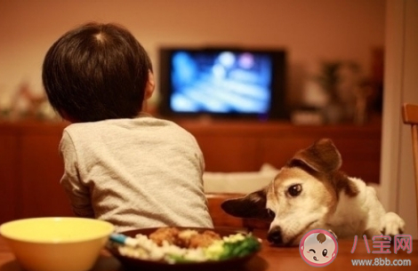 家長應該教會孩子獨自在家有人敲門時應怎么做 螞蟻莊園12月4日答案最新 家長應該教會孩子獨自在家有人敲門時應怎么做 螞蟻莊園12月4日答案最新