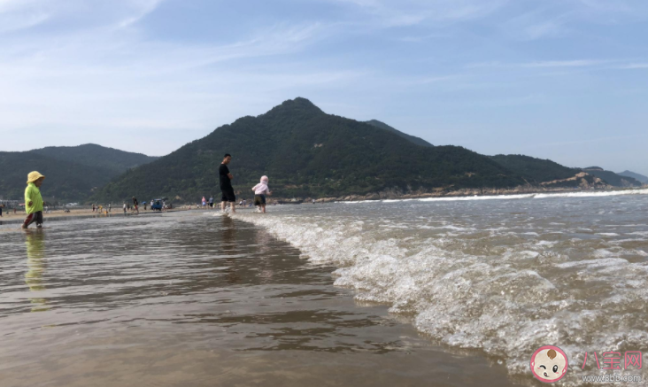 大海為什么會漲潮退潮 大海漲潮退潮時間規律是什么 大海為什么會漲潮退潮 大海漲潮退潮時間規律是什么