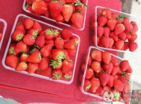 草莓應該以怎樣的方式進行清洗 螞蟻新村12月6日答案