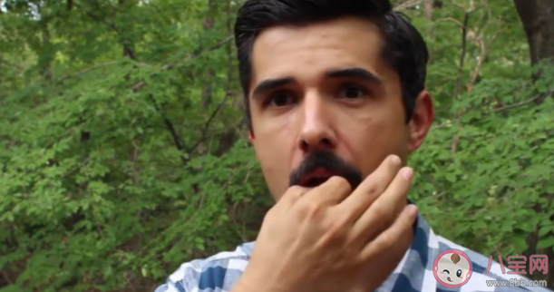 會吹口哨是不是天生的 如何正確快速學會吹口哨 會吹口哨是不是天生的 如何正確快速學會吹口哨