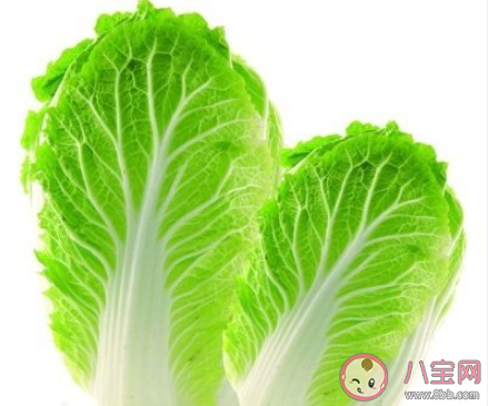 韓國一棵白菜賣近25元 韓國蔬菜為什么那么貴 韓國一棵白菜賣近25元 韓國蔬菜為什么那么貴