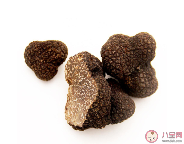 黑松露可以曬干保存嗎 新鮮黑松露能放多久 黑松露可以曬干保存嗎 新鮮黑松露能放多久