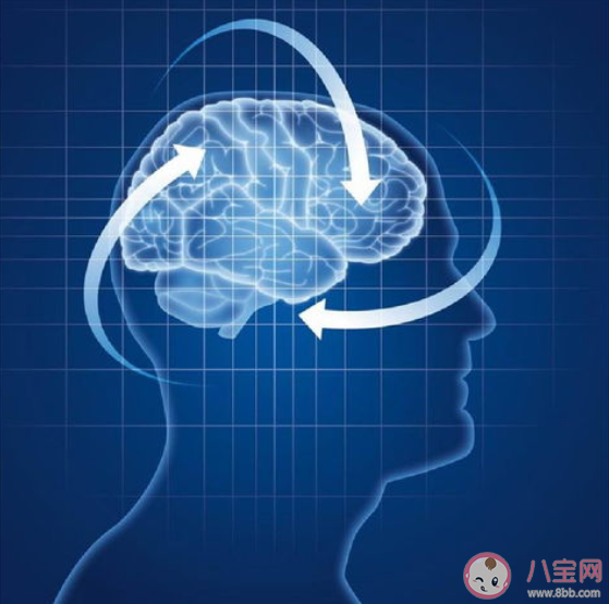 大腦放松智力會(huì)下降嗎 什么樣的大腦思考狀態(tài)是最佳的 大腦放松智力會(huì)下降嗎 什么樣的大腦思考狀態(tài)是最佳的