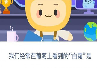 我們經常在葡萄上看到的白霜是什么 螞蟻新村12月7日答案