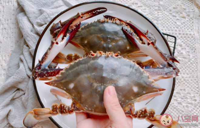 梭子蟹的漁汛一年有幾次 螞蟻莊園12月8日答案解析 梭子蟹的漁汛一年有幾次 螞蟻莊園12月8日答案解析